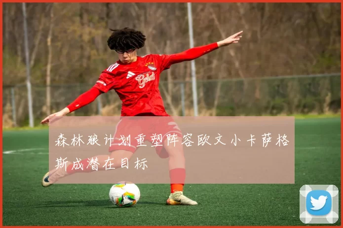 森林狼计划重塑阵容欧文小卡萨格斯成潜在目标