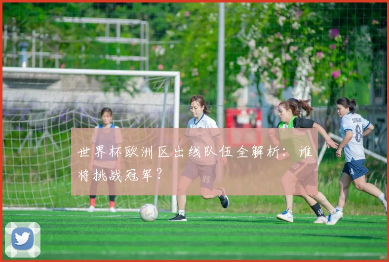 世界杯欧洲区出线队伍全解析：谁将挑战冠军？