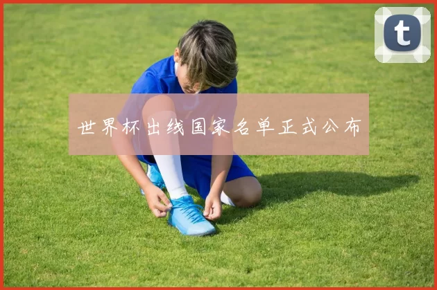 世界杯出线国家名单正式公布