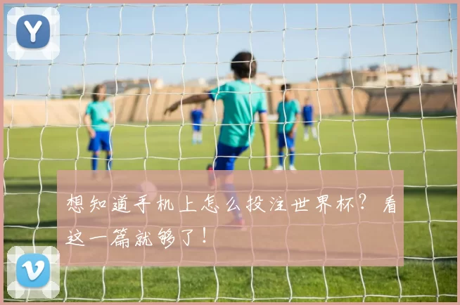 想知道手机上怎么投注世界杯？看这一篇就够了！