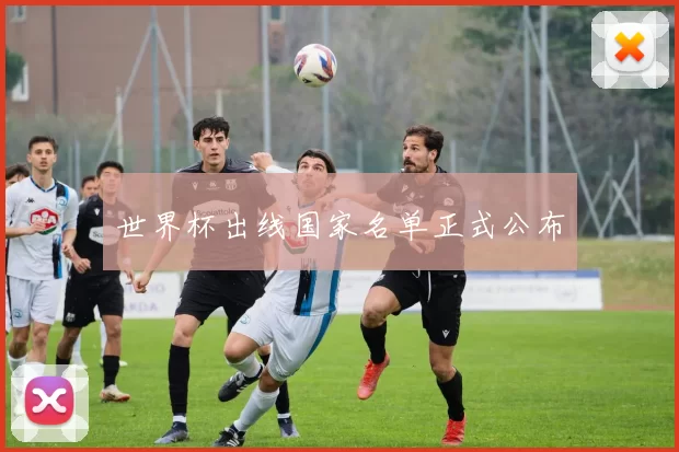 世界杯出线国家名单正式公布