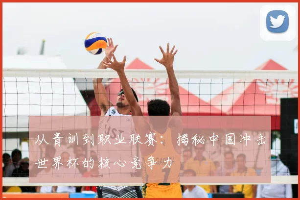 从青训到职业联赛：揭秘中国冲击世界杯的核心竞争力