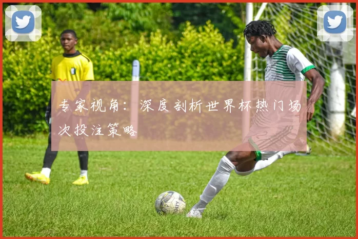 专家视角：深度剖析世界杯热门场次投注策略