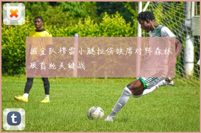 掘金队穆雷小腿拉伤缺席对阵森林狼首轮关键战