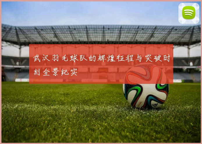 武汉羽毛球队的辉煌征程与突破时刻全景纪实