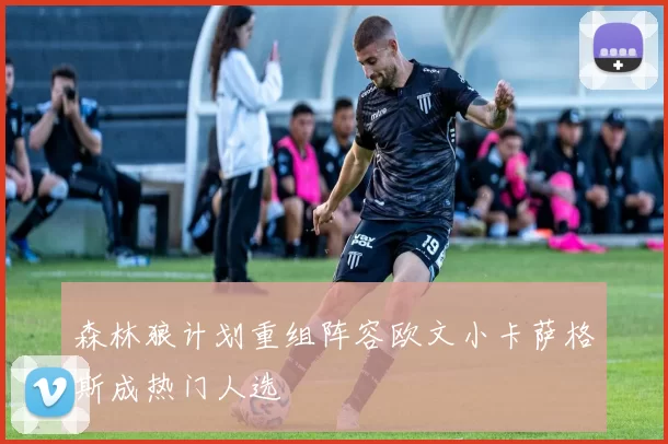 森林狼计划重组阵容欧文小卡萨格斯成热门人选