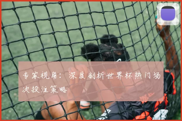 专家视角:深度剖析世界杯热门场次投注策略