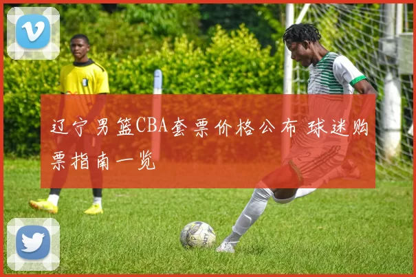辽宁男篮CBA套票价格公布 球迷购票指南一览