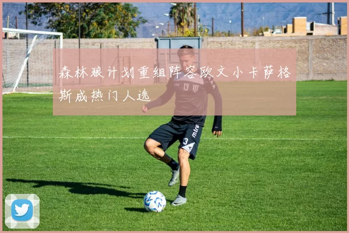 森林狼计划重组阵容欧文小卡萨格斯成热门人选
