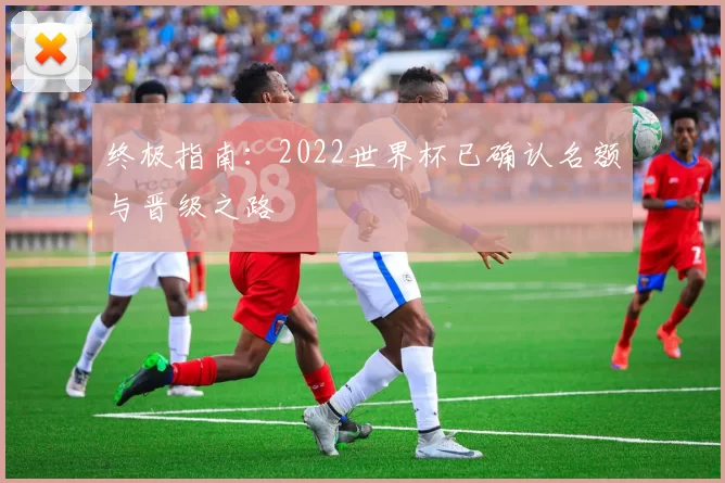 终极指南：2022世界杯已确认名额与晋级之路