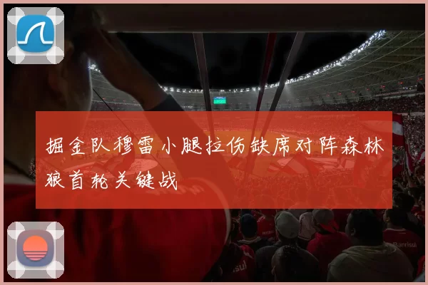 掘金队穆雷小腿拉伤缺席对阵森林狼首轮关键战