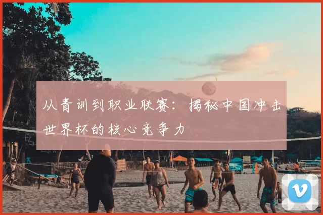 从青训到职业联赛：揭秘中国冲击世界杯的核心竞争力
